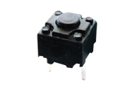 Eϵ��6.2x6.2��DV008