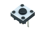 Eϵ��6.2x6.2��DV012